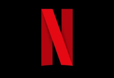 Netflix US $20